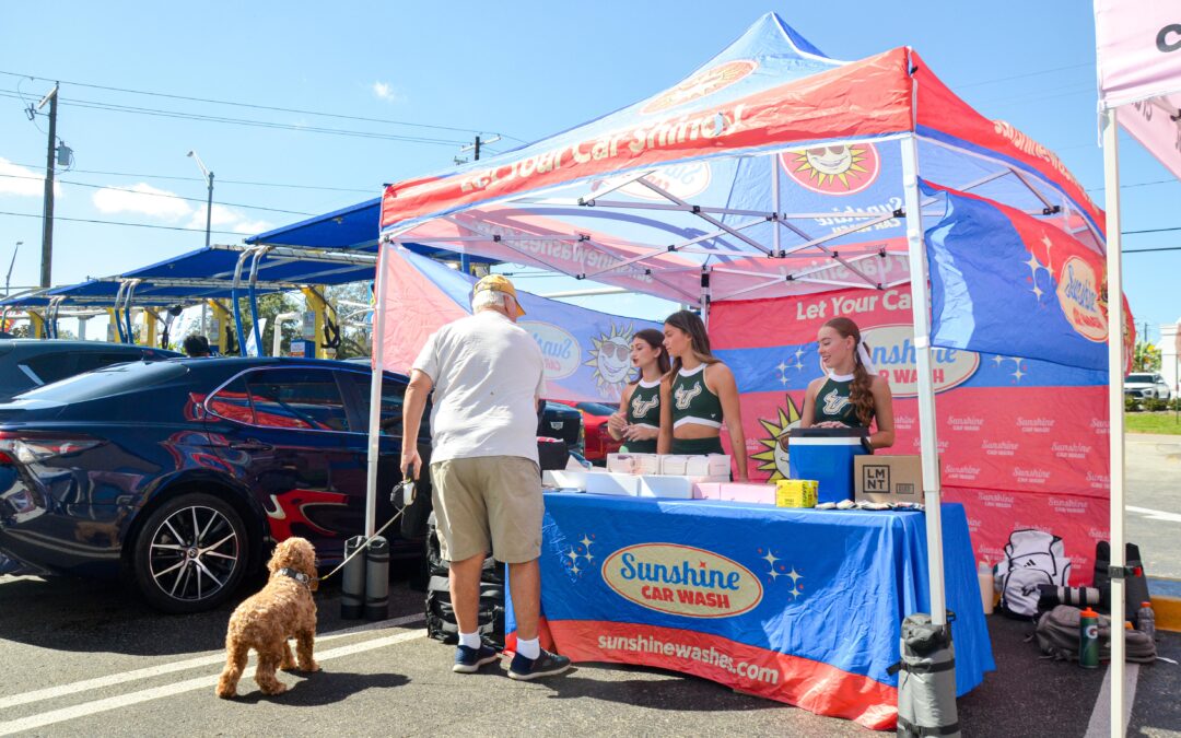 Tips for Pet Hair Car Cleaning & Deep Interior Cleaning